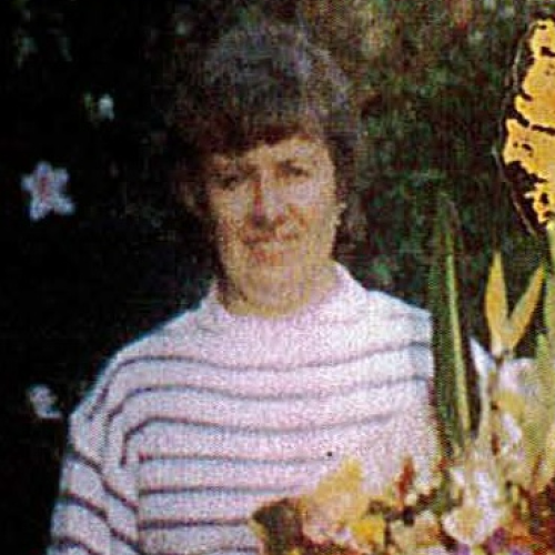 Missing Person Anne Webb