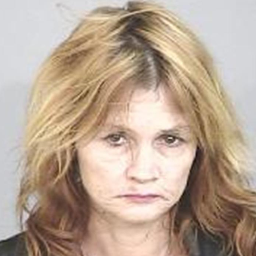 Missing Person Linda Majors NSW