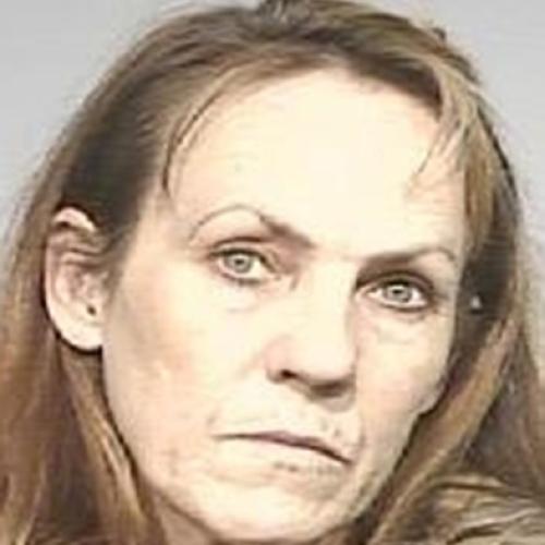 Missing Person Lisa Moy