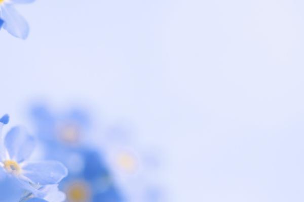 IMCD header