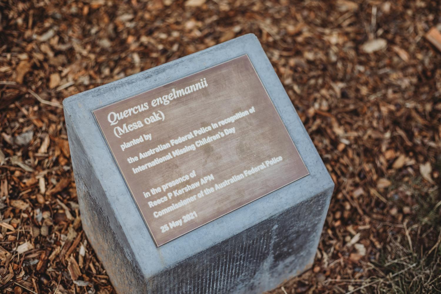 Tree Plaque 25 May 2021